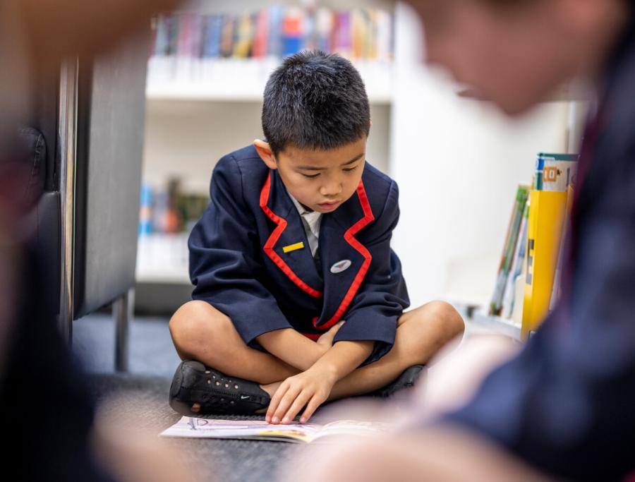 Auckland Primary Curriculum