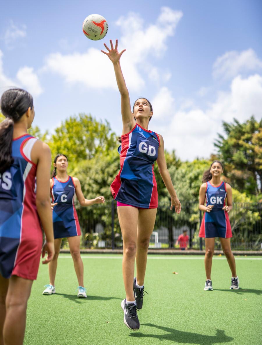 Auckland Colleges for professional trainings