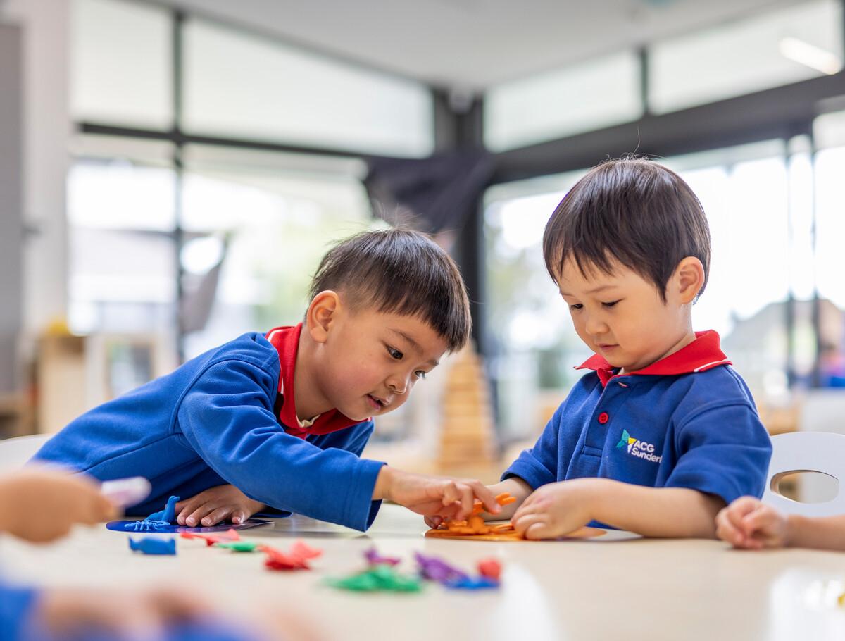 sibling scholarship programme