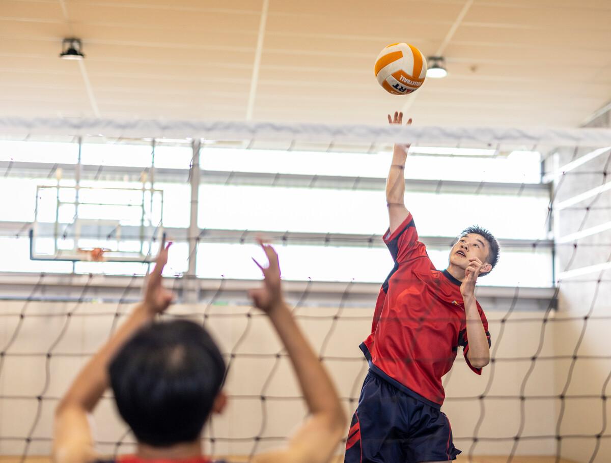 sports scholarship opportunities