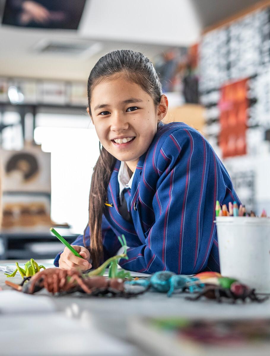 The Nsouli Scholars Programme